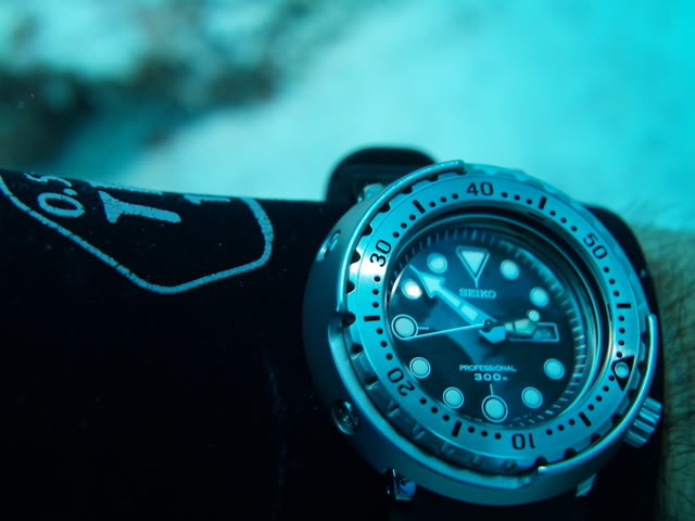 PHOIBOS WAVE MASTER PY010ER 300M Automatic Dive Watch Abalone Shell-nttc.com.vn